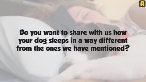 What Your Dog's Sleeping Position Reveals About Their Personality, Health and Character