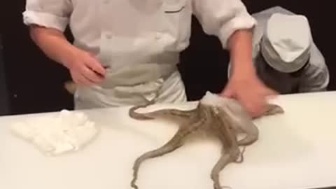 WARNING!!: Japanese Chef Cuts Live Octopus