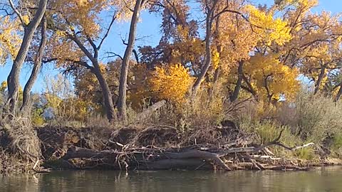 New Mexico seasons changing