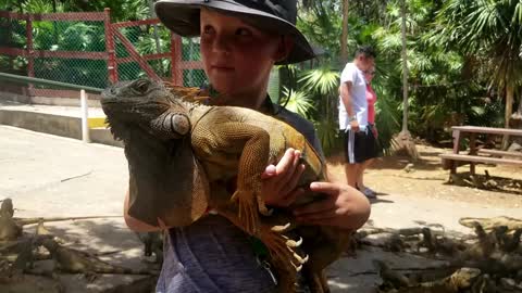 Arch's Iguana & Marine Park - Roatan