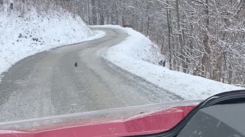 Just a Quick view of the ride down the mountain on the RZR XP TURBO