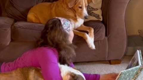 Daring Darby Balances on Woman's Feet