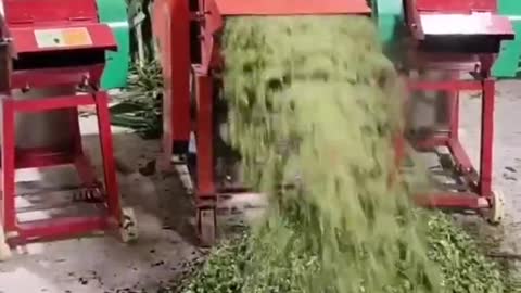 Amazing fastest time saving chaff cutting machine shorts chaff machine