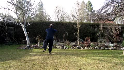 Tai chi yang style form, 2nd part