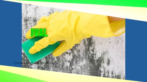 Tulsa Mold Removal CO.