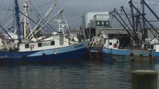 Paddle wheeler coming into port.