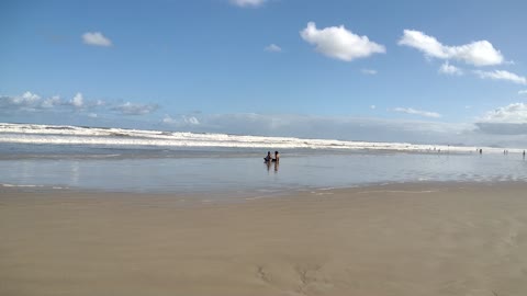 Whale Beach - North Coast of São Paulo