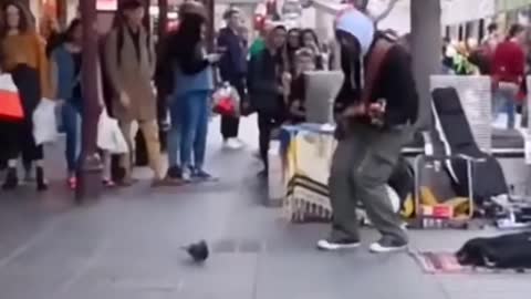 Just a pigeon vibing with the beat