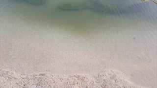 เที่ยวเกาะฉลาม! Shark Island and Khorfakkan Beach, Sharjah, UAE