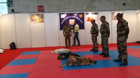 CISF demonstration of Dog Squad