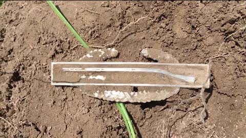 Guy Finds Silver War Metal with Metal Detector!