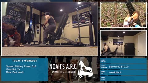 Old"ish" Dudes Lift Big"ish" Weights w/Doggo [Week 11] - Shoulders // Animal Rescue Stream :)