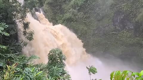 Lush Waterfall