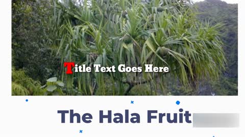 The Hala fruit