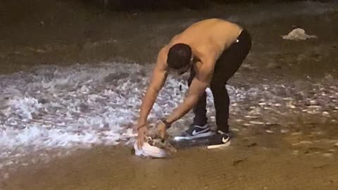 Possum Saved From Being Washed Away in Pouring Rain