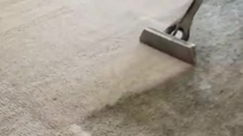 Carpet Cleaning Dallas