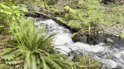 The Life Cycles of Dry Creek Falls – Columbia River Gorge – Oregon – 4K