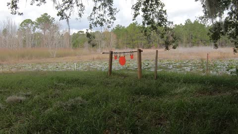 Plinking at 12 yards with a GSG 1911 22LR