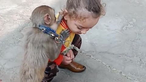 Monkey kissing Harman baby