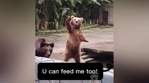 Funny animals reaction to food #2