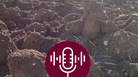 VIDEO AUDIO TESTIMONIANZA | 🎙🗣 GEOINGEGNERIA: ......