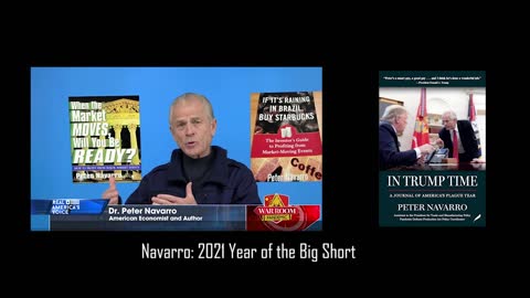 Navarro Calls 2021 "Year of the Big [Stock Market] Short