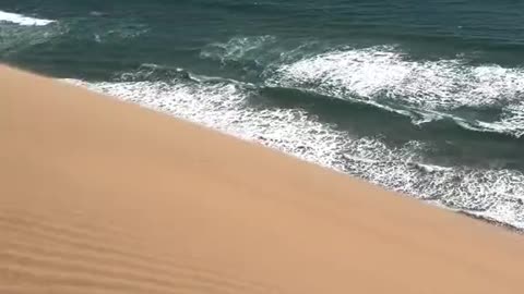 Desert meets the ocean south africa