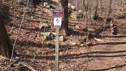 Did we find a SKELETON???- State Line Lookout