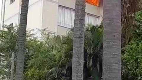 Florida Road Fire