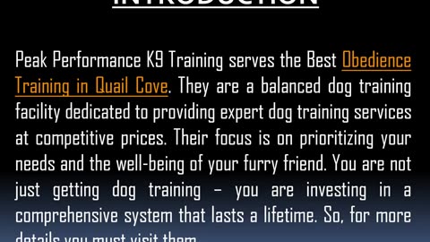 Best Puppy Training in Quail Cove