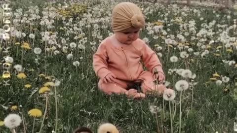 The girl and the beautiful duckling