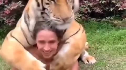 Tiger loves his caretaker and hug him tightly