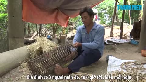 Về miền Tây xem ngư dân làm lợp cua mùa lũ sớm