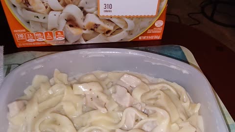 Eating Lean Cuisine Chicken Fettuccine, Dbn, MI, 2/29/24