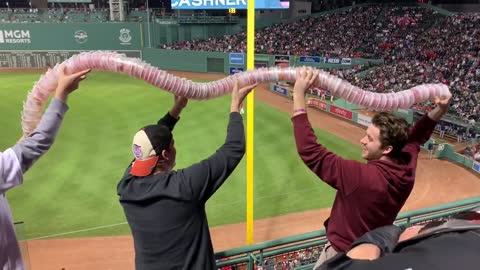 Beer snake