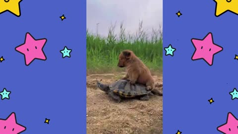 My Beloved Little Motorcycle With My Pet Dog! 🐶🏍️"