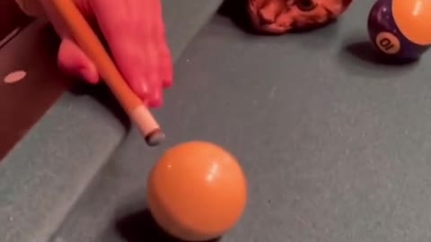 the cat controls the game of billiards