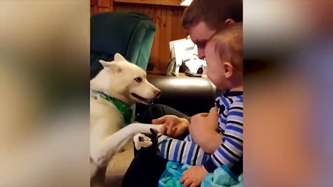 Dogs And Babies Are Best Friends !!!