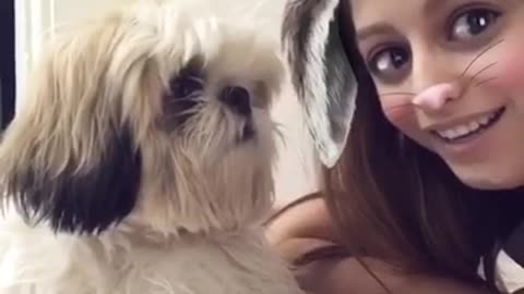 White dog confused by rabbit snap chat filter