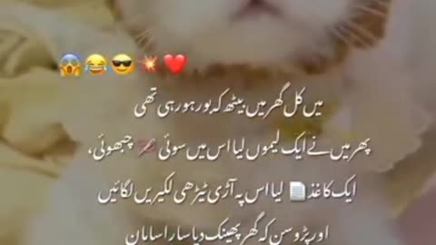 Cute cat 🐈 funny moments 🤣😁😁