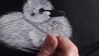 Baby Swan Painting