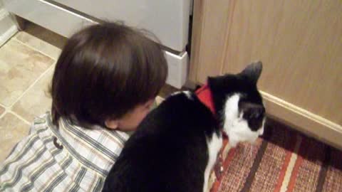 A boy's Best friend is sometimes a cat named Foxy who loves giving cat kisses.