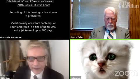 'I’m not a cat'_ lawyer gets stuck on Zoom kitten filter during court case