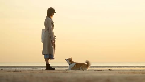 Dog training by woman in nature near coast of beach with help of hand spbi