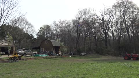 Cutting Another Tree Down For The Alexis Railroad