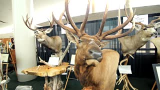 Hunt Expo 2012