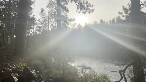 The Sun Beaming Down on Deschutes River Trail – Central Oregon – 4K