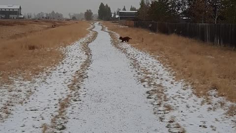 Beckett's First Snow