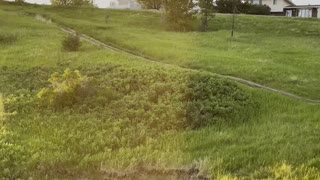 How beautiful are these houses on the hill?