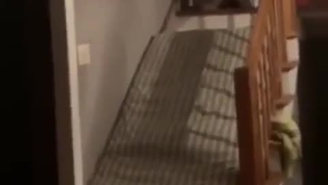 Stairs Fail